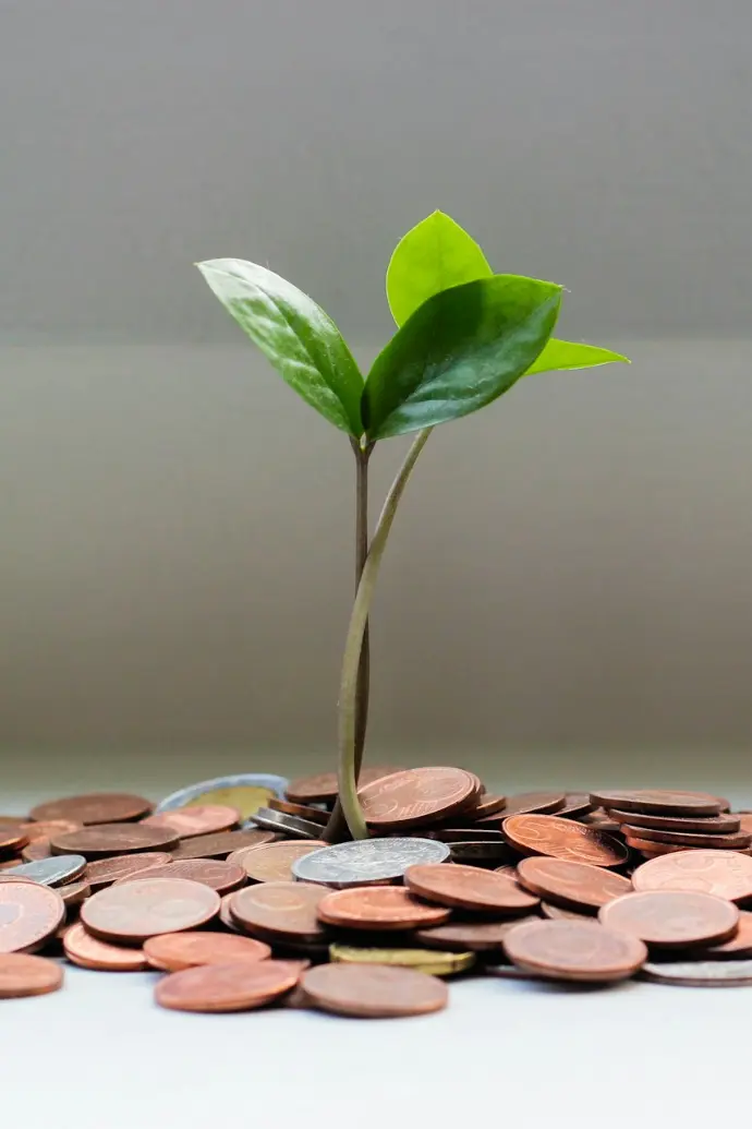 green plant on brown round coins